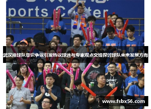 武汉排球队意识争议引发热议球迷与专家观点交锋探讨球队未来发展方向