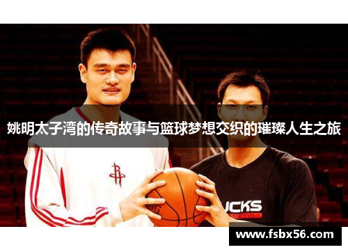 姚明太子湾的传奇故事与篮球梦想交织的璀璨人生之旅