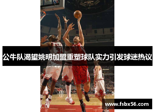 公牛队渴望姚明加盟重塑球队实力引发球迷热议