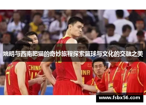 姚明与西南肥猫的奇妙旅程探索篮球与文化的交融之美
